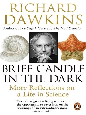 cover image of Brief Candle in the Dark